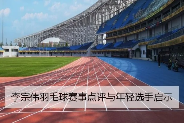 李宗伟羽毛球赛事点评与年轻选手启示（ayxsports）
